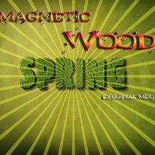 Magnetic Wood