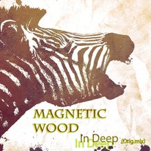 Magnetic Wood