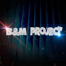B&M project