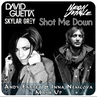 Inna Nemcova - David Guetta ft.Skylar Grey vs. Neon Jungle - Shot Me Down ( Andy Farret & Inna Nemcova Mash Up )