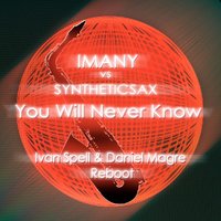 Syntheticsax - Imany vs Syntheticsax - You Will Never Know (Ivan Spell & Daniel Magre Reboot)