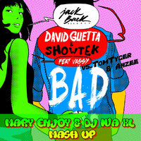 DJ IvA XL - David Guetta & Showtek feat.Vassy vs.Tom Tyger & Ahzee - BAD (Mary Enjoy & Dj IvA XL Mash Up)