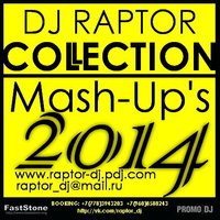 DJ Raptor™ - Hardwell & MAKJ – Countdown (DJ Raptor Mash-up)