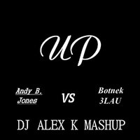 Dj Alex K - Andy B. Jones Vs Botnek & 3LAU – Up (Dj Alex K MashUp) [2014] (Club Edit)
