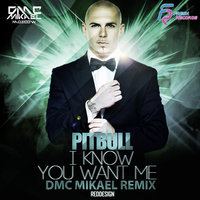 DMC Mikael - Pitbull - I Know You Want Me (Calle Ocho) (DMC Mikael Remix)
