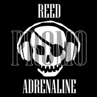 DJ Adrenaline - DJ Reed & DJ Adrenaline - SPECTRUM 8 BOBINA