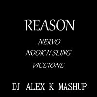 Dj Alex K - NERVO & Hook N Sling vs. Vicetone – Reason (Dj Alex K Mash-Up) [2014] (Club Edit)