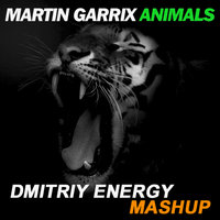 Dmitriy Energy - Martin Garrix - Animals (Dmitriy Energy Mashup)