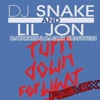 Dj KreCer - Turn Down for What (Dj KreCer & DJ Alex Shafrygin remix)