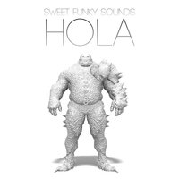 Sweet Funky Sounds - Hola (Original Mix)