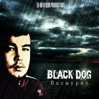 Black dog - Ïàñìóðíî[6-îé Îòäåë Production] (2014).mp3