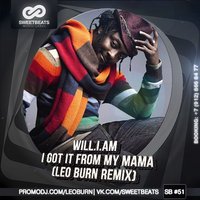 Leo Burn - Will.I.Am - I Got It From My Mama (Leo Burn Remix)