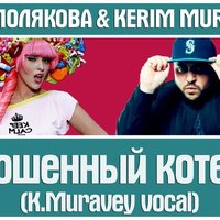 KERIM MURAVEY - ОЛЯ ПОЛЯКОВА,KERIM MURAVEY-Брошенный котеня (K.Muravey vocal)