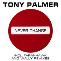 Soviet Recordings - Tony Palmer - Never Change (Taranhawk Remix)