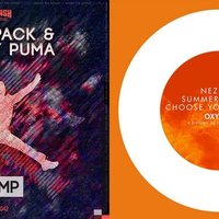 Stereoplate - Summer School, Nezzo & Wolfpack & Bobby Puma - Choose Your Jump (Stereoplate Mash-Up)