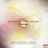 NAMATRIA - Dallonte and James Woods - Synergy (Namatria Remix)