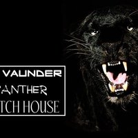 dj vaunder - DJ VAUNDER - PANTHER DUTCH HOUSE 2014