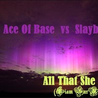 Liam Burn - Ace Of Base  vs Slayback - All That She Wants (Liam BurN mash Up)