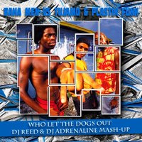 DJ Adrenaline - Baha Men vs Tujamo & Plastik Funk - Who Let The Dogs Out (Dj Reed & Dj Adrenaline Mash-Up)
