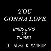 Dj Alex K - Windy Land vs. Tujamo – You Gonna Love (Dj Alex K Mash-Up) [2014] (Club Edit)