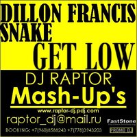 DJ Raptor™ - Dillon Francis feat. Snake - Get Low (DJ Raptor Mash-up)