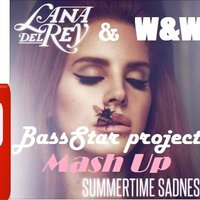 BassStar Project - Lana Del Rey & W&W - Summertime sadness (BassStar project Mash Up)