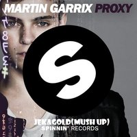 Dj Jeka Gold - Martin Garrix &  Fedde Le Grand  Nicky Romero Ft. Matthew Koma - Sparks  in Proxy(JekaGold Mush Up)