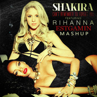 ESTGAMIN - Shakira feat. Rihanna - Cant Remember To Forget You (Estgamin Mashup)