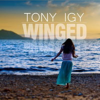 Dj VALERIANO - Tony Igy - Winged (Dj Valeriano Chillout Remix)