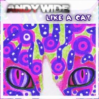 Andy Wide - Andy Wide - Like a Cat (Original mix)