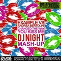 DJ Night - Example vs. Andrea Bertolini - Changed The Way You Kiss Me (Dj Night Mash-up)