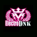 Electro DNK - Kislotka vol. 13