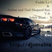 S.E.S AttackA aka DJ Cocaina - Fedde Le Grand &  Sultan and Ned Shepard feat. Mitch Crown - Running V.S. Arbre Blass -  No Regrets (Cocaina Mash UP)