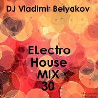 Vladimir Belyakov - Electro House Mix 30