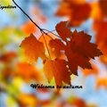 Sasha-Expeditor - dj expeditor welcome to autumn