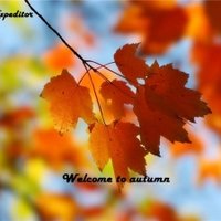 Sasha-Expeditor - dj expeditor welcome to autumn