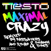 Artem Spy - Tiesto & R3hab & Swanky Tunes Vs. Bassjackers   - Maximal Crazy (Electrostatics Mash Up)