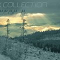 Factor P - Relax Collection