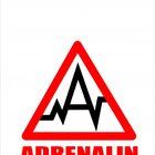 Adrenalin