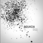 INDUKCIA