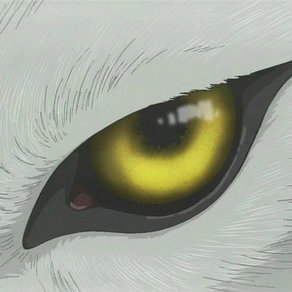 wolf_67