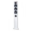Piega TMicro 60 AMT Silver