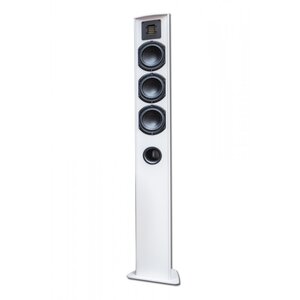 Piega TMicro 60 AMT Silver
