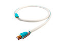 CHORD C-USB C-B 1m