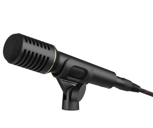 Takstar PCM-5600 Microphone Black