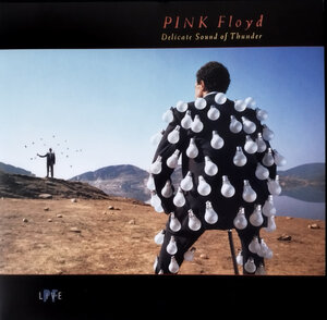 Pink Floyd: Delicate Sound Of Thunder Vinyl 2LP