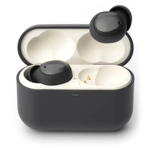 Final Audio ZE500 for ASMR Dark Gray