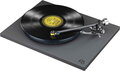 Rega Planar 6 - EXACT MM Polaris grey