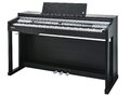 Kurzweil CUP P1 SR