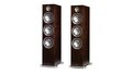 Paradigm Prestige 95F Walnut